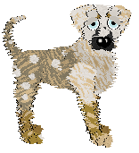 Sz's Fragments — “Clast”