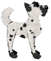 Profile image of Bec's Snow Dazzle Delite at Medusa