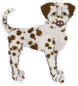 Arash's Don't Be Fooled — “Dupe”