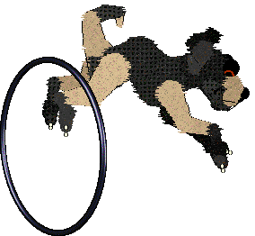 SeaGlass's Stoppin' Traffic — “StreetLight”