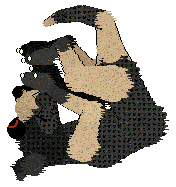 SeaGlass's Stoppin' Traffic — “StreetLight”