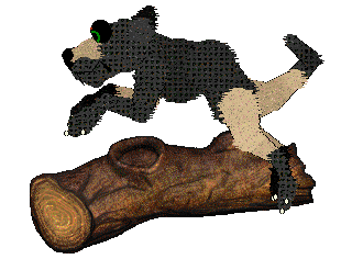 SeaGlass's Stoppin' Traffic — “StreetLight”