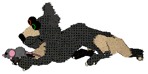 SeaGlass's Stoppin' Traffic — “StreetLight”