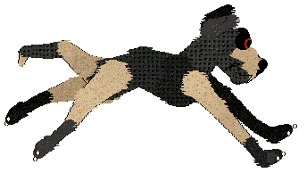 SeaGlass's Stoppin' Traffic — “StreetLight”