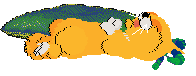 Mercury's Satsuma Shorthair at SeaGlass — “Mikan”