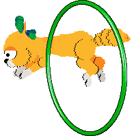 Mercury's Satsuma Shorthair at SeaGlass — “Mikan”