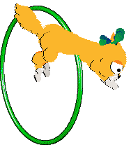 Mercury's Satsuma Shorthair at SeaGlass — “Mikan”