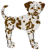 Arash's In the Sun — “Sandra”