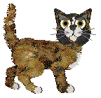 LF's Let Them Eat Cake! at Chachke — “Cake”