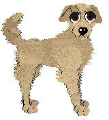 Chachke's Golden Hour — “Glancy”