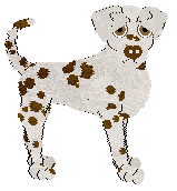 Dotty By Nature's Star Keeper of Oakley — “Blanche”