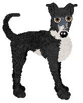 Chachke's Berry Cloud Perfection — “Cherry”