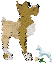 Profile image of EC's Fireflies at Dusk