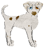 FDL's Hold That Thought — “Pause”