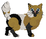 Emma's Cause for Celebration at Chachke — “Cigar”