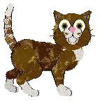 Chachke's Little Italy — “Ragu”