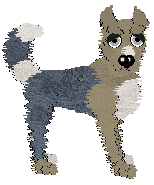 SWSK's Por Fin — “Finnick”