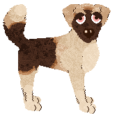 Billywix's Baked Alaska at Wild Road — “Baked Alaska”