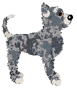 NSP's Glow Up at Wild Road — “Tea”