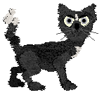 Witz's Mistakes Made Now — “Rectify”