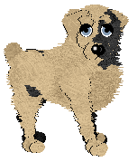 WAA/Aura's Because I'm Happy — “Feliz”