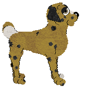 Chachke's Golden Dominion — “Aurelia”