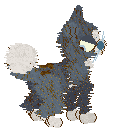 Funfetti/Vanilla's Dawn Distillation — “Dewzenne”