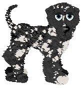 Whimsy/Dh's Proceed With Caution — “Skunk”