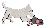 Buttloaf/Dh's Pocket Lint — “Beatrice”