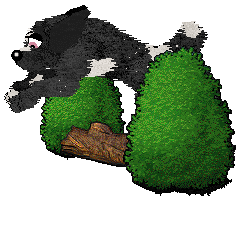 Funfetti/Dh's Velours Lumière — “Beaumont”