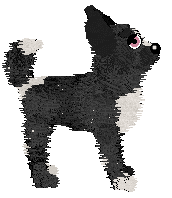 Funfetti/Dh's Velours Lumière — “Beaumont”