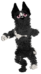 Funfetti/Dh's Velours Lumière — “Beaumont”