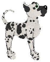 Amenity's Not Your Average Apothecary at Medusa — “Alchemy”