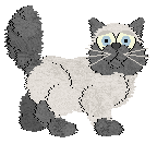 Shining Light of Persia — “Alora”