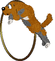 Mockingbird's Baked Better — “Brioche”