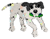 Funfetti's Twinkling Pastels at Medusa — “Elio”