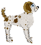 Sz's Pearl of my Eye — “Maggie”