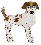 Sz's Pearl of my Eye — “Maggie”