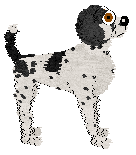 Sz's Go With Your Gut — “Hunch”