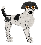 Profile image of Sz's Go With Your Gut