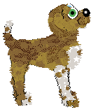 Witz's The Bigger They Are, The Harder They Fall at SzK — “Timber”