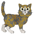 Aura's Sweet Deal — “Apricot”