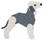 Caliente's Sterling Serenade at Vanilla — “Gulliver”