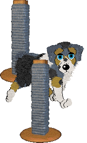 Aura's Apply What Comes Naturally — “Daisy”