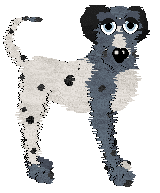 Medusa/FDL's Qalbi Laha — “Habibti”