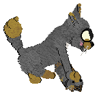 Shortbread's wow this woman manages her anxiety by fuelling it @ Mockingbird — “wow this woman manages her anxiety by fuelling it”