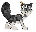 Krunchez' Certified Basketcase at Vanilla — “Basketane”