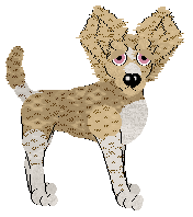 Medusa's Glass Slippers at Vanilla — “Cinderella”