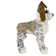 Vanillabel's Legs for Days — “Colette”