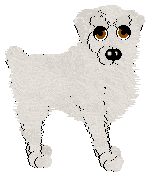 Aura's Salty Boy — “Frost”